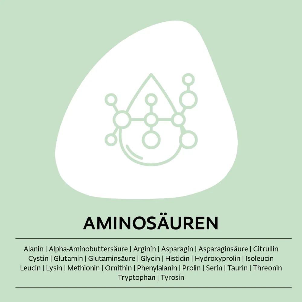 Blutanalyse: Aminosäuren