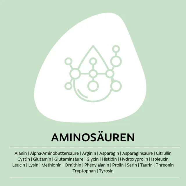 Produktgrafik der Aminosäuren-Blutanalyse mit allen untersuchten Aminosäuren