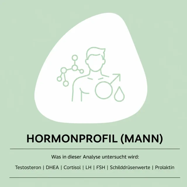 Produktgrafik des Hormonprofils für den Mann
