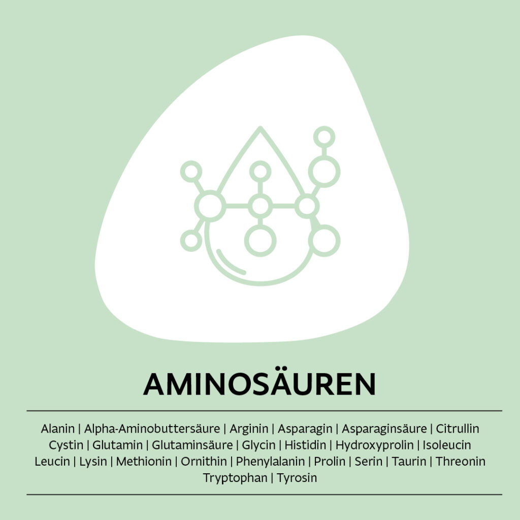 Grünes Bild mit Wasser und Moleküle Icon